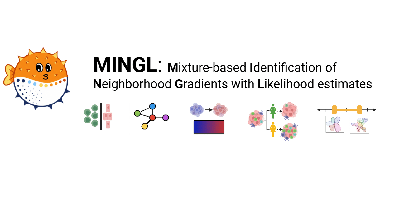 MINGL spatial proteomics figure
